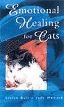 Emotional Healing For Cats