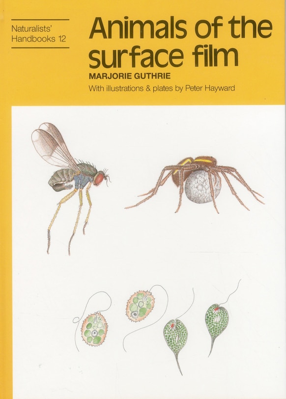 Couverture_Animals Of The Surface Film