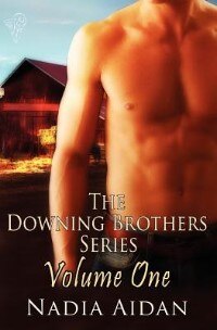 Couverture_The Downing Brothers