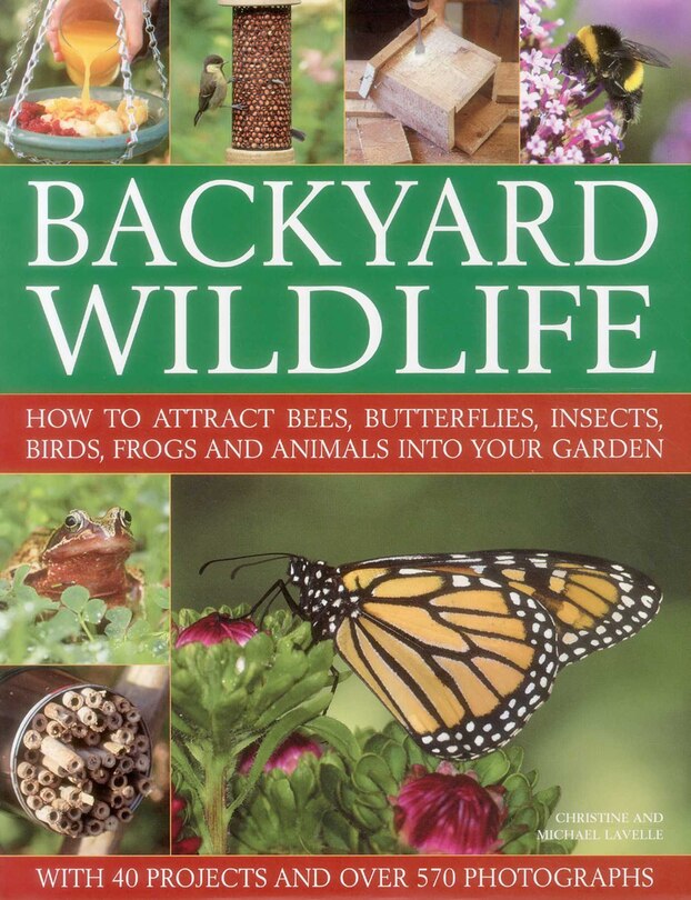Front cover_Backyard Wildlife