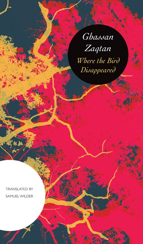 Front cover_Where The Bird Disappeared