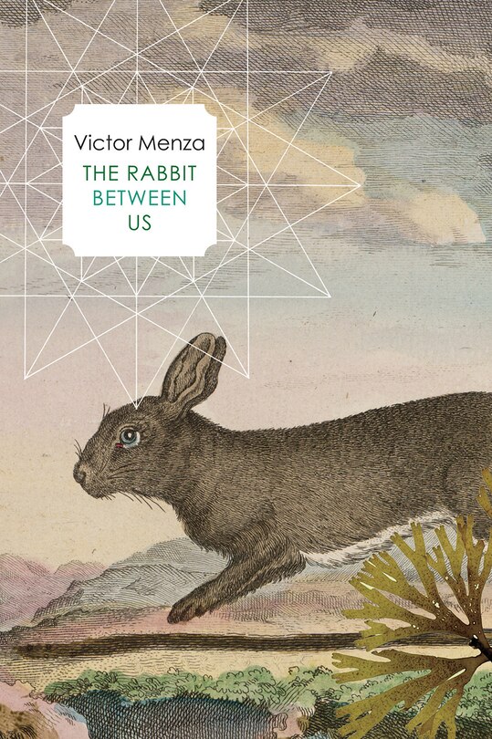 Front cover_The Rabbit Between Us