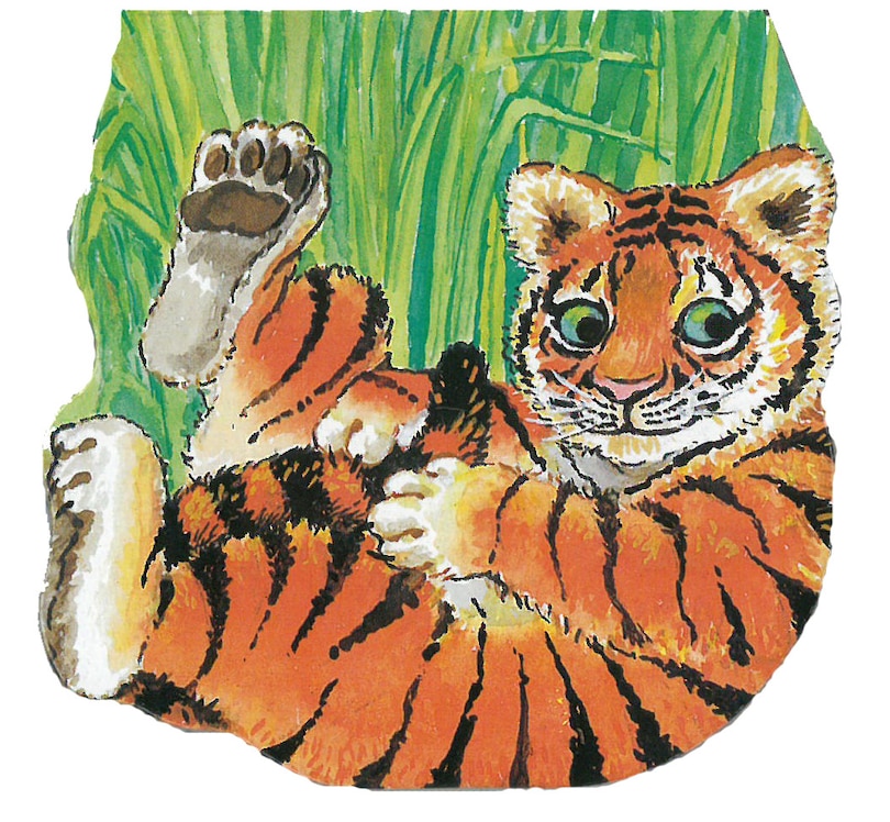Couverture_Pocket Tiger