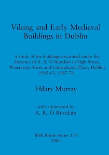 Front cover_Viking and Early Medieval Buildings in Dublin