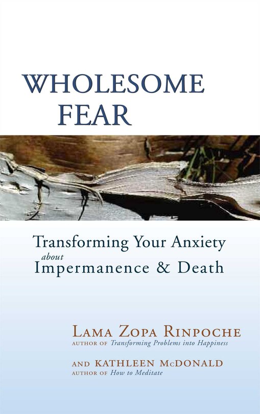 Front cover_Wholesome Fear
