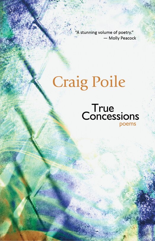 Front cover_True Concessions