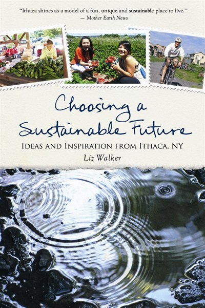 Front cover_Choosing a Sustainable Future