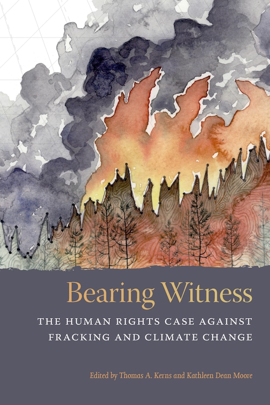 Front cover_Bearing Witness