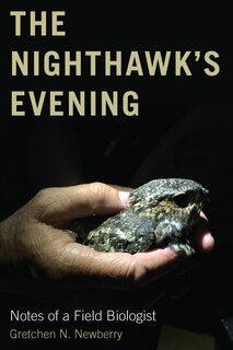 Front cover_The Nighthawk's Evening