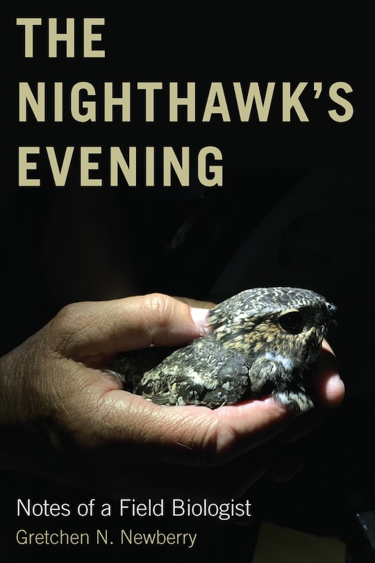 Front cover_The Nighthawk's Evening