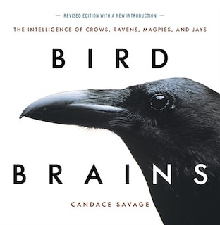 Couverture_Bird Brains: Intelligence Of Crows, Ravens, Magpies & Jays