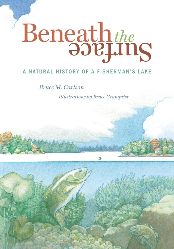 Beneath The Surface: A Natural History Of A Fisherman's Lake