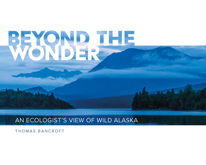 Couverture_Beyond the Wonder