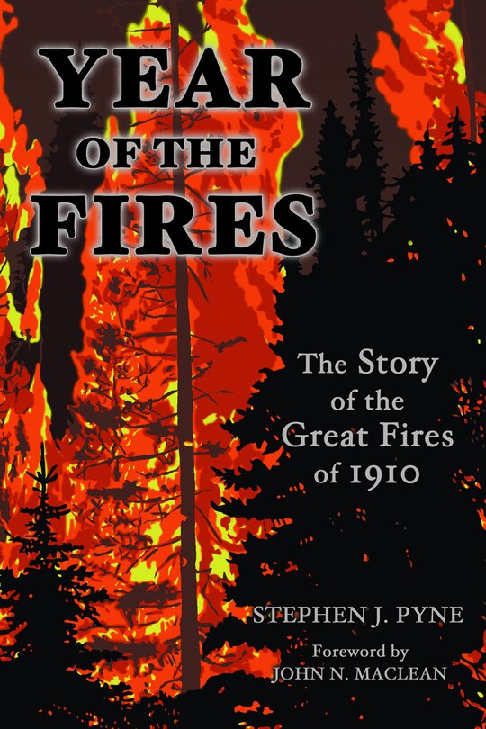 Couverture_Year of the Fire