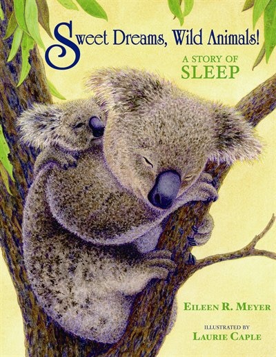 Couverture_Sweet Dreams, Wild animals !