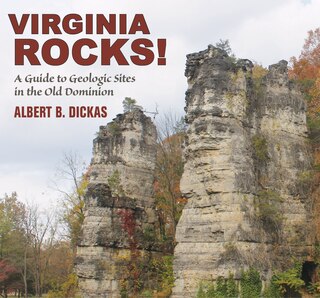 Couverture_Virginia Rocks!