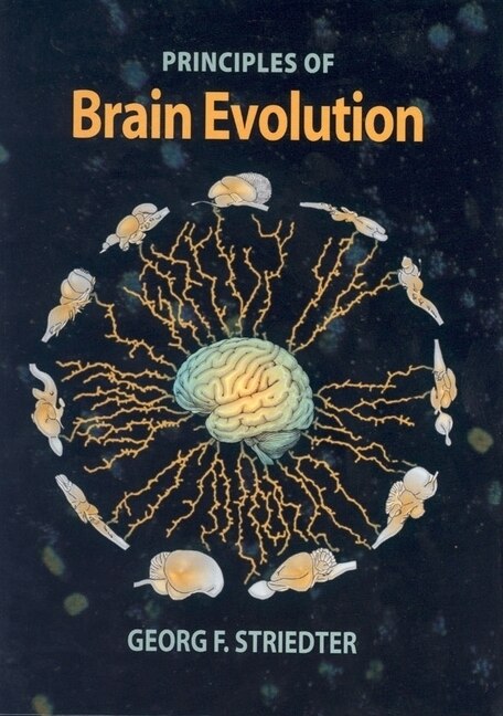 Couverture_Principles of Brain Evolution