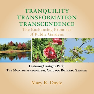 Couverture_Tranquility Transformation Transcendence