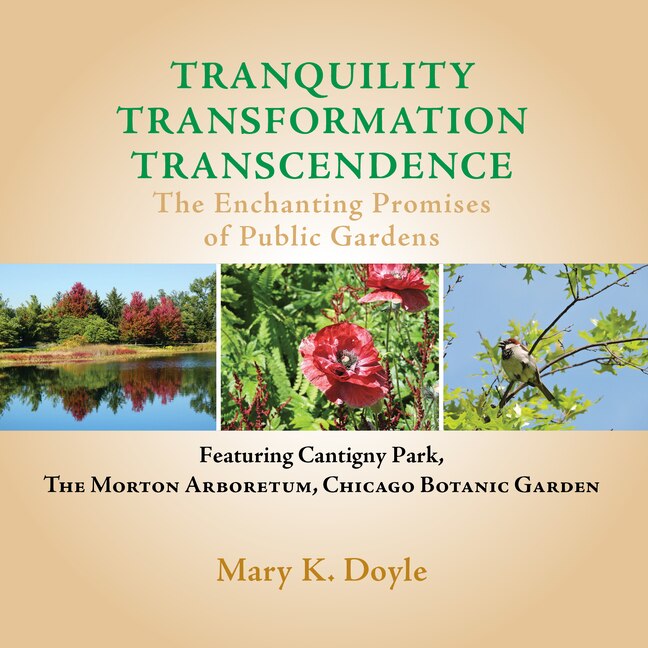 Couverture_Tranquility Transformation Transcendence