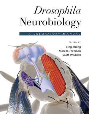 Front cover_Drosophila Neurobiology