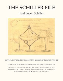 Couverture_The Schiller File
