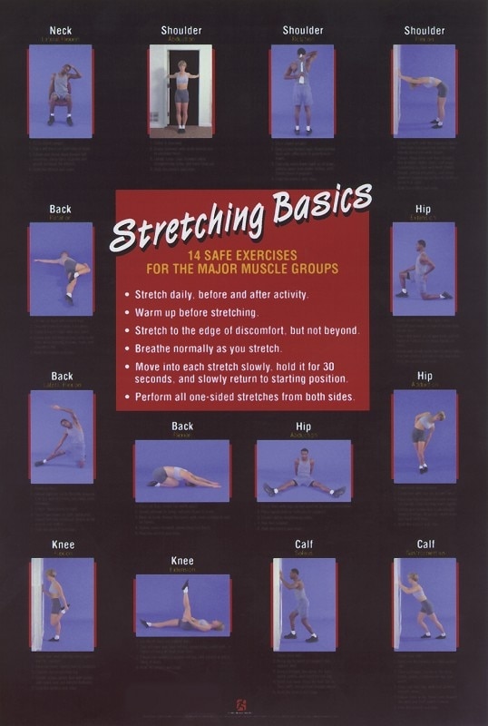 stretching basics poster
