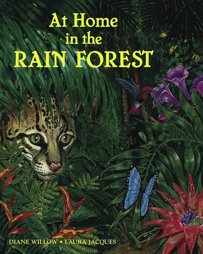 Front cover_At Home in the Rain Forest