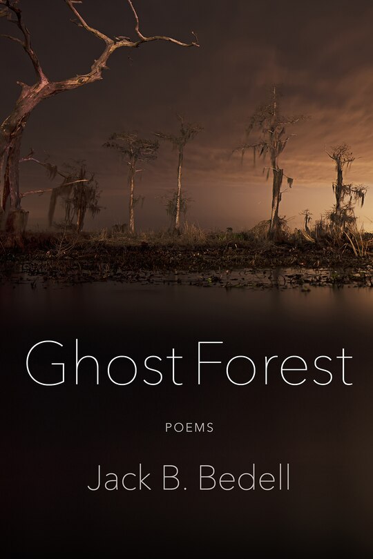 Front cover_Ghost Forest
