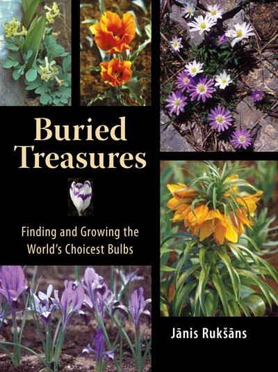 Couverture_Buried Treasures