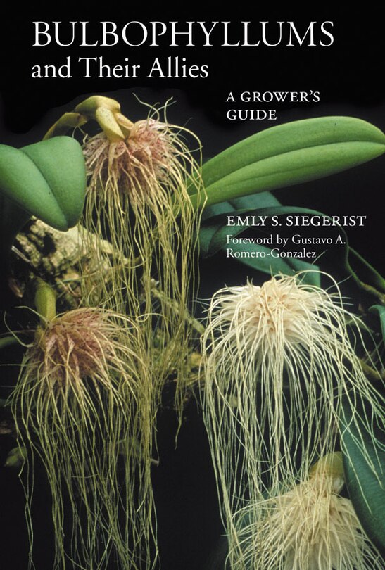 Front cover_Bulbophyllums And Their Allies
