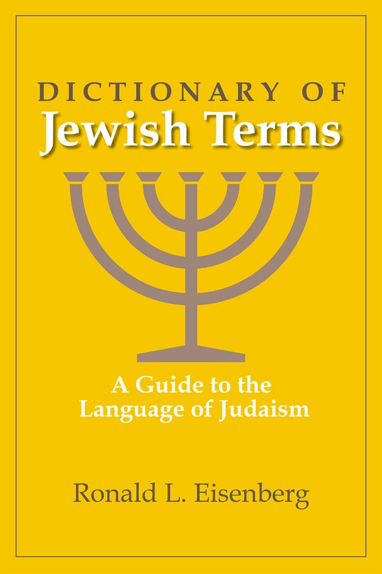 Front cover_Dictionary Of Jewish Terms