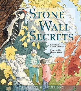 Front cover_Stone Wall Secrets