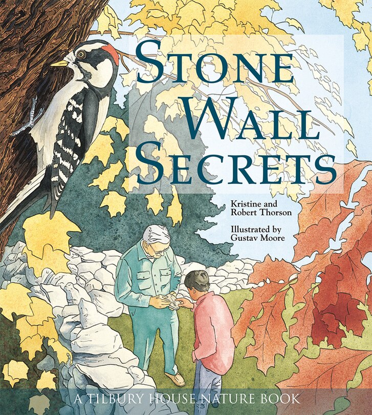 Front cover_Stone Wall Secrets
