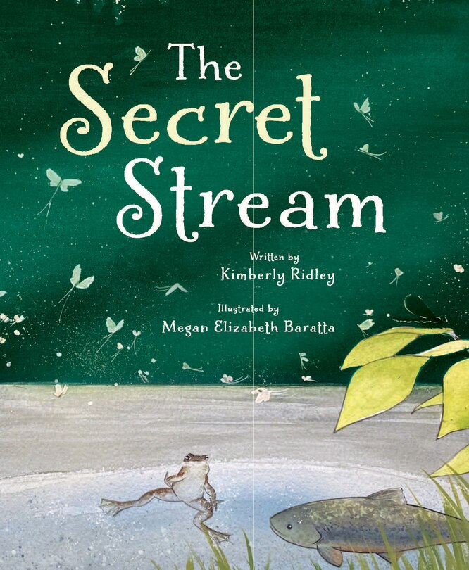 Front cover_The Secret Stream