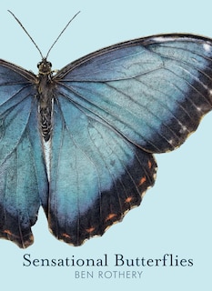Front cover_Sensational Butterflies