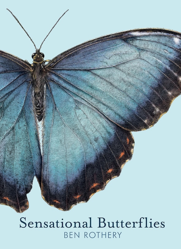Front cover_Sensational Butterflies