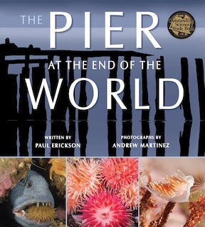 Front cover_The Pier at the End of the World