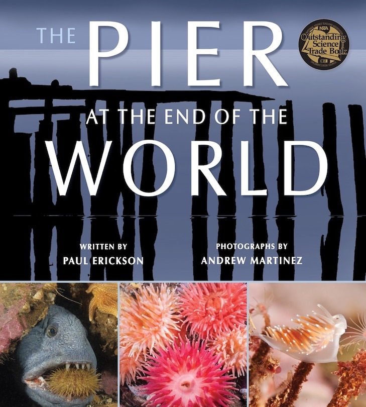 Front cover_The Pier at the End of the World