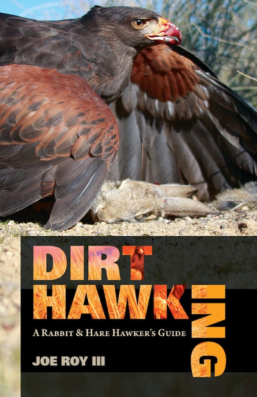 Couverture_Dirt Hawking