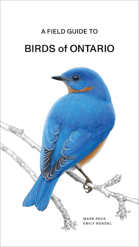 Front cover_A Field Guide to Birds of Ontario