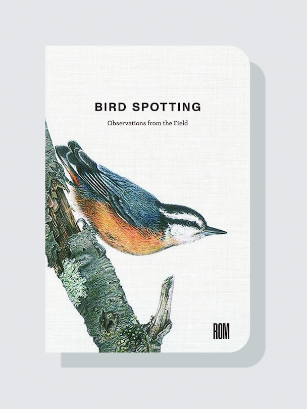 Front cover_Bird Spotting