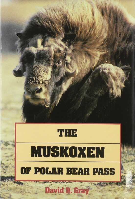 Front cover_The Muskoxen of Polar Bear Pass