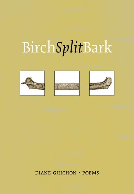 Birch Split Bark