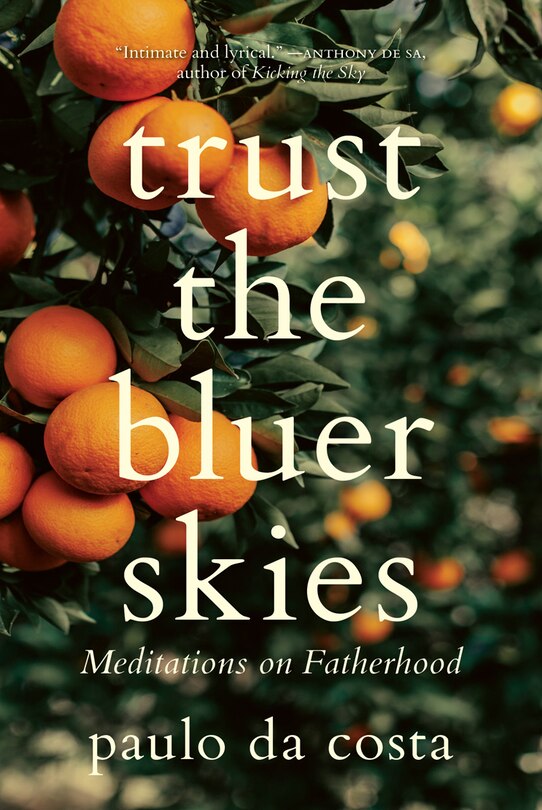 Front cover_Trust the Bluer Skies