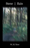 Front cover_Stone Rain