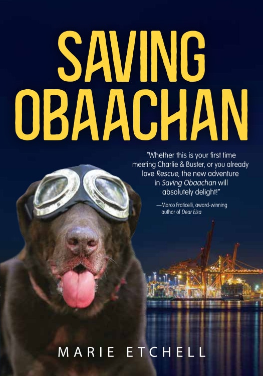 Couverture_Saving Obaachan