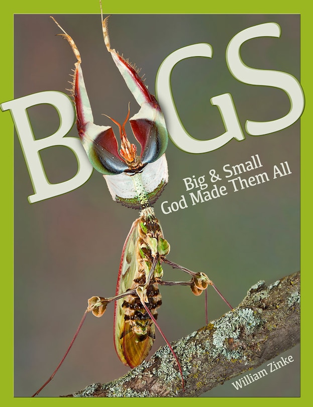 Front cover_Bugs Big & Small