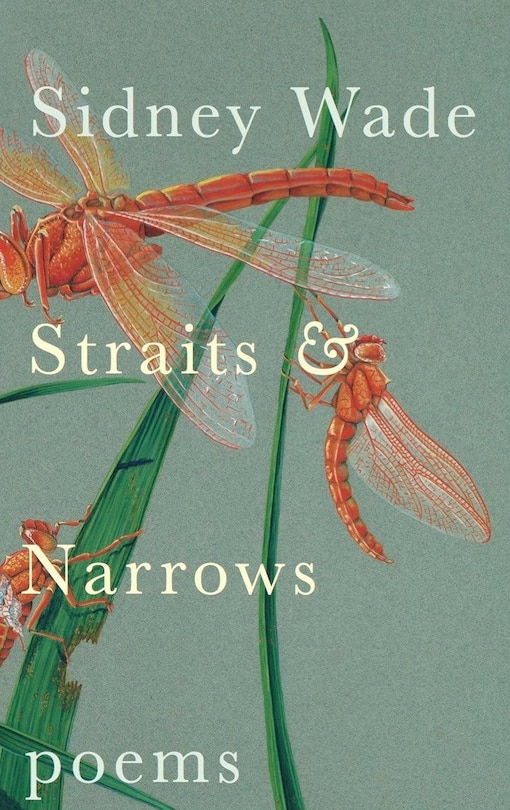 Couverture_Straits And Narrows