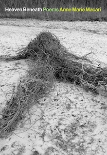 Front cover_Heaven Beneath