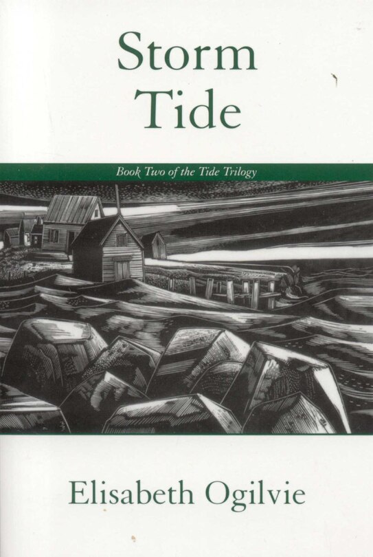 Couverture_Storm Tide